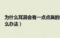 为什么耳洞会有一点点臭的味道（为什么耳洞会有臭味有什么办法）