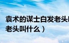 袁术的谋士白发老头叫什么（袁术的谋士白发老头叫什么）