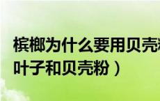 槟榔为什么要用贝壳粉（新鲜槟榔为什么要加叶子和贝壳粉）