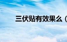三伏贴有效果么（三伏贴有效果吗）