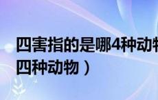 四害指的是哪4种动物（除四害四害指的是哪四种动物）