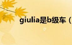 giulia是b级车（giulia是哪国车）