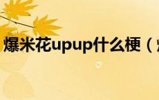 爆米花upup什么梗（爆米花upup什么意思）