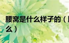 腰窝是什么样子的（腰窝是什么有腰窝代表什么）