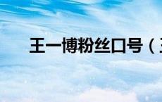 王一博粉丝口号（王一博粉丝叫什么）