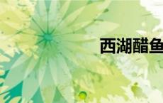 西湖醋鱼是什么鱼