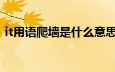 it用语爬墙是什么意思（网上爬墙什么意思）