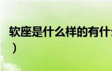 软座是什么样的有什么区别（软座是什么样的）
