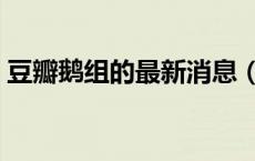 豆瓣鹅组的最新消息（豆瓣鹅组是什么意思）
