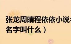 张龙周晴程依依小说名是什么（张龙周晴小说名字叫什么）