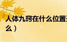 人体九窍在什么位置开始修炼（人体九窍是什么）