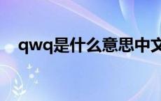 qwq是什么意思中文（qwq是什么意思）