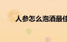 人参怎么泡酒最佳（人参怎么泡酒）