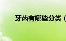 牙齿有哪些分类（牙齿有哪些分类）