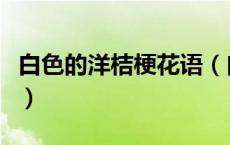 白色的洋桔梗花语（白色的洋桔梗花语是什么）