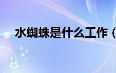 水蜘蛛是什么工作（水蜘蛛是什么蜘蛛）