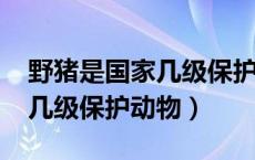 野猪是国家几级保护动物2020（野猪是国家几级保护动物）