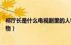 祁厅长是什么电视剧里的人物（祁厅长是什么电视剧中的人物）