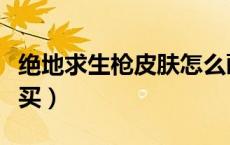 绝地求生枪皮肤怎么画（绝地求生枪皮肤哪里买）