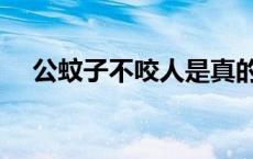 公蚊子不咬人是真的吗（公蚊子咬人吗）