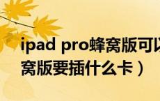 ipad pro蜂窝版可以插tf卡吗（ipadpro蜂窝版要插什么卡）