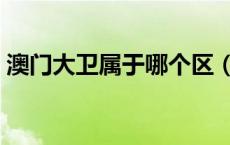 澳门大卫属于哪个区（澳门大卫厅什么意思）