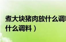 煮大块猪肉放什么调料比较好（煮大块猪肉放什么调料）