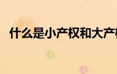 什么是小产权和大产权（什么是小球时代）