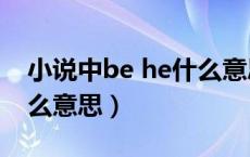 小说中be he什么意思（小说里BE和HE是什么意思）