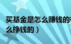 买基金是怎么赚钱的有没有风险（买基金是怎么挣钱的）