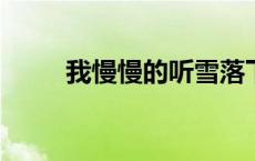 我慢慢的听雪落下的声音是什么歌