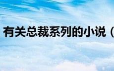 有关总裁系列的小说（有总裁系列的小说吗）