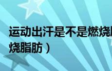 运动出汗是不是燃烧脂肪（运动出汗是不是燃烧脂肪）