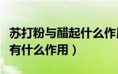 苏打粉与醋起什么作用（醋和苏打粉和在一起有什么作用）