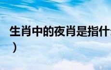 生肖中的夜肖是指什么（晚上的肖是指哪几肖）