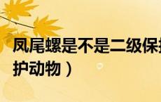 凤尾螺是不是二级保护动物（凤尾螺是不是保护动物）