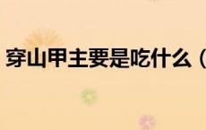 穿山甲主要是吃什么（穿山甲一般怎么吃法）