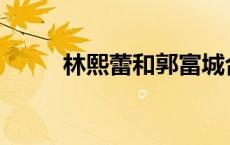 林熙蕾和郭富城合作了哪部电影？