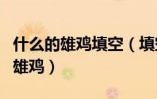 什么的雄鸡填空（填空什么的啼叫填空什么的雄鸡）
