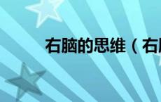 右脑的思维（右脑控制什么思维）