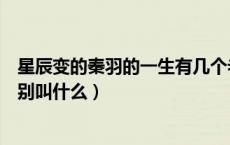 星辰变的秦羽的一生有几个老婆（中主角秦羽有几个老婆分别叫什么）