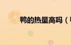 鸭的热量高吗（鸭的热量是多少）
