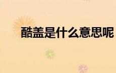 酷盖是什么意思呢（酷盖是什么意思）
