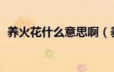 养火花什么意思啊（养火花什么意思啊qq）