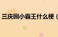 三庆园小霸王什么梗（三庆园小霸王什么梗）