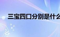 三宝四口分别是什么（三宝四口是什么）
