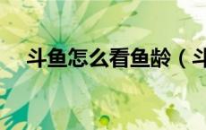 斗鱼怎么看鱼龄（斗鱼怎么看鱼吧等级）