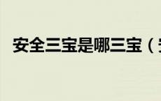 安全三宝是哪三宝（安全是三宝还有什么）