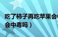 吃了柿子再吃苹果会中毒吗（吃完柿子吃苹果会中毒吗）