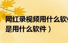 网红录视频用什么软件好（网红录五分钟视频是用什么软件）